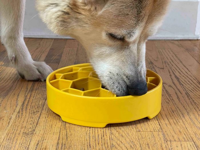 Sodapup Honeycomb Slow Feeder Bowl For Dogs
