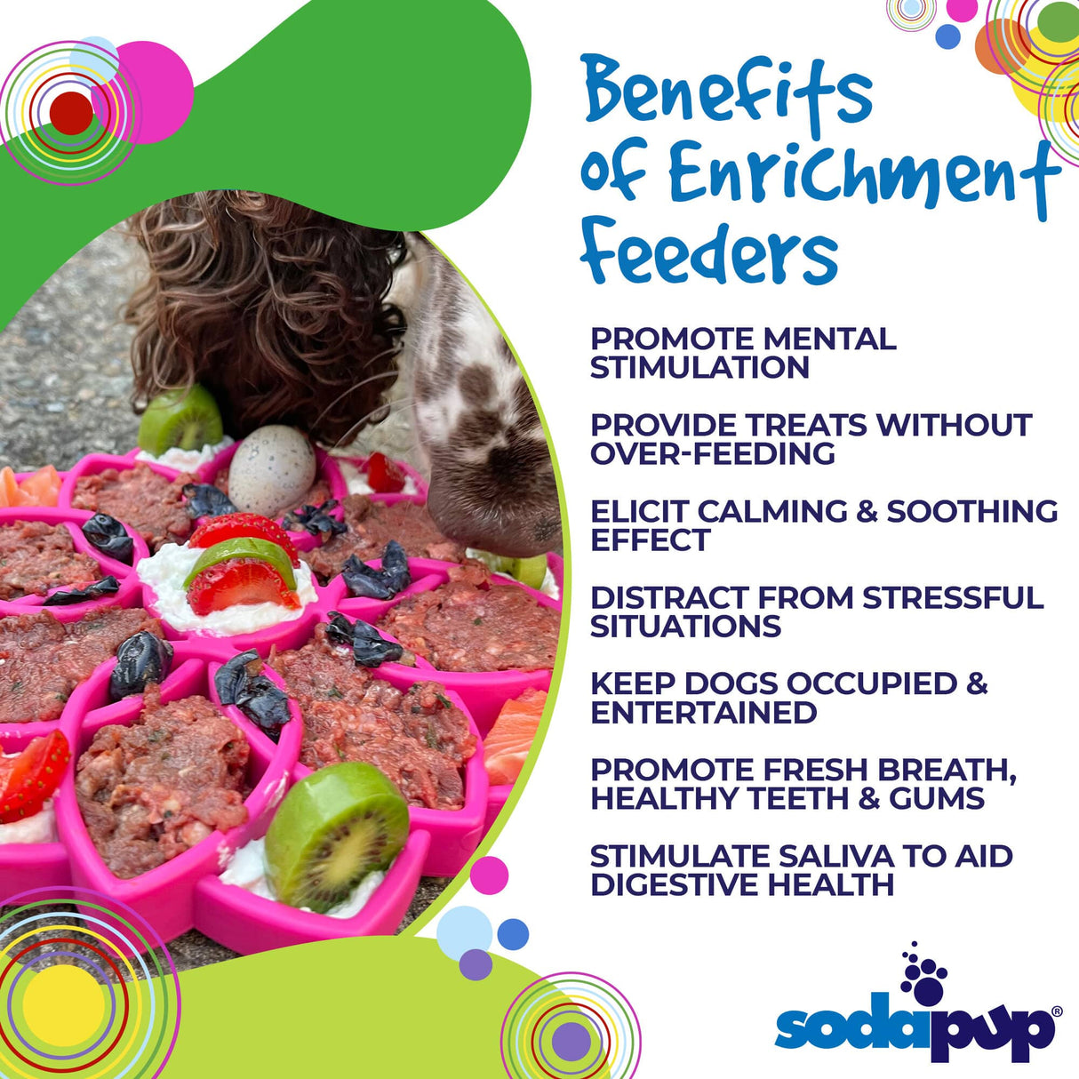 Sodapup Mandala Design eTray Enrichment Tray for Dogs Lickimat/Slow Feeder