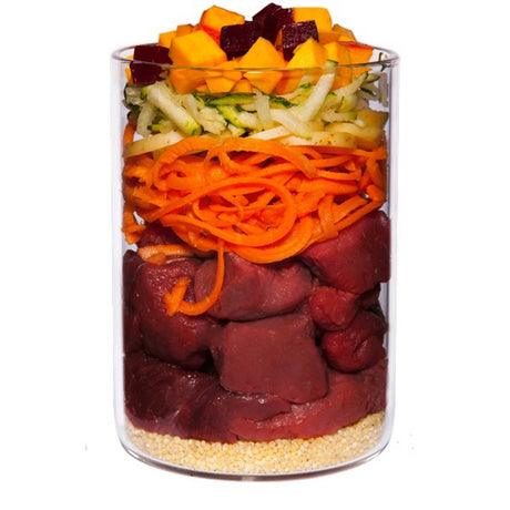 Terra Canis Classic Game with Pumpkin Cranberries and Amaranth 400g
