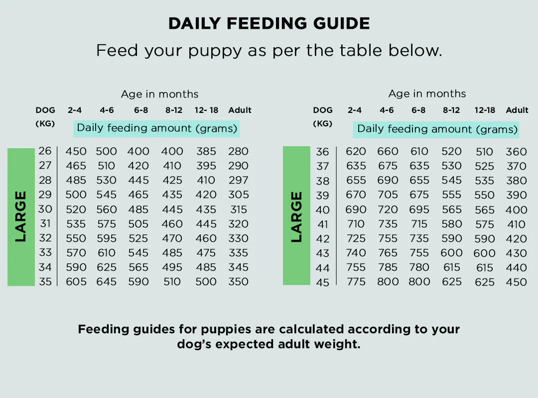 The Innocent Hound Air-Dried Food Wild Salmon Fishcakes