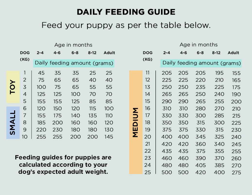 The Innocent Hound Air-Dried Food - British Beef Stew