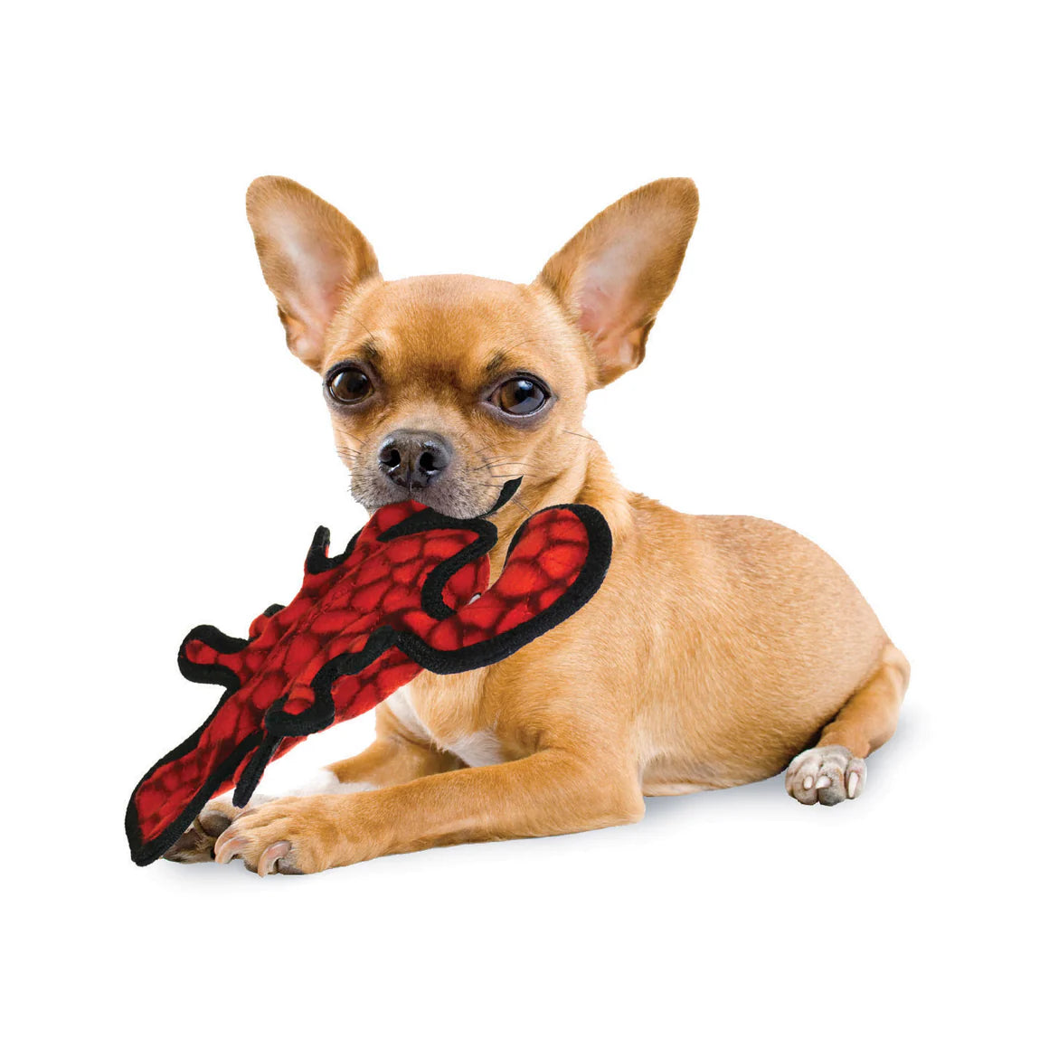 Tuffy Ocean Larry Lobster