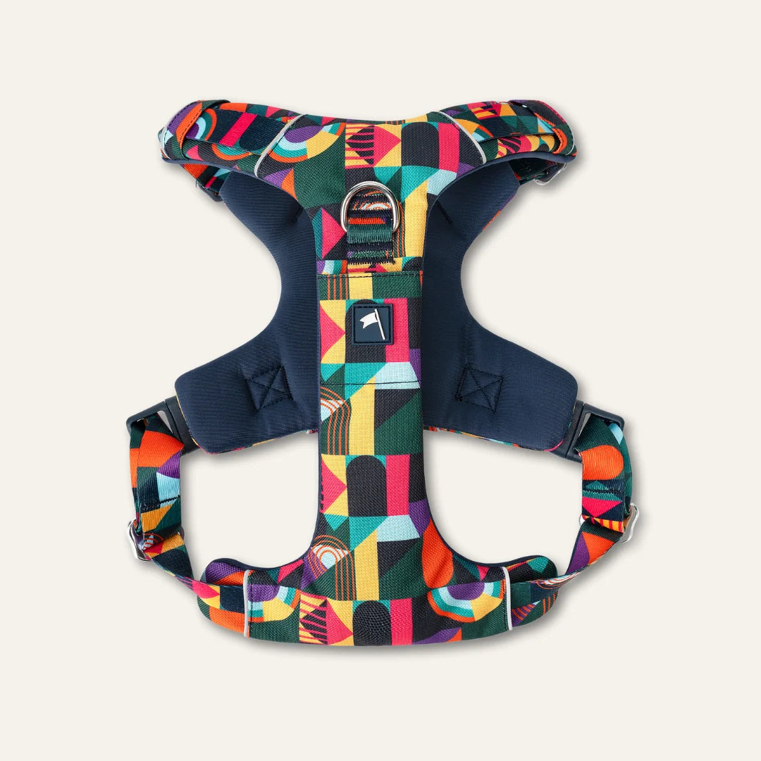 Twiggy Tags Adventure Dog Harness 2.0
