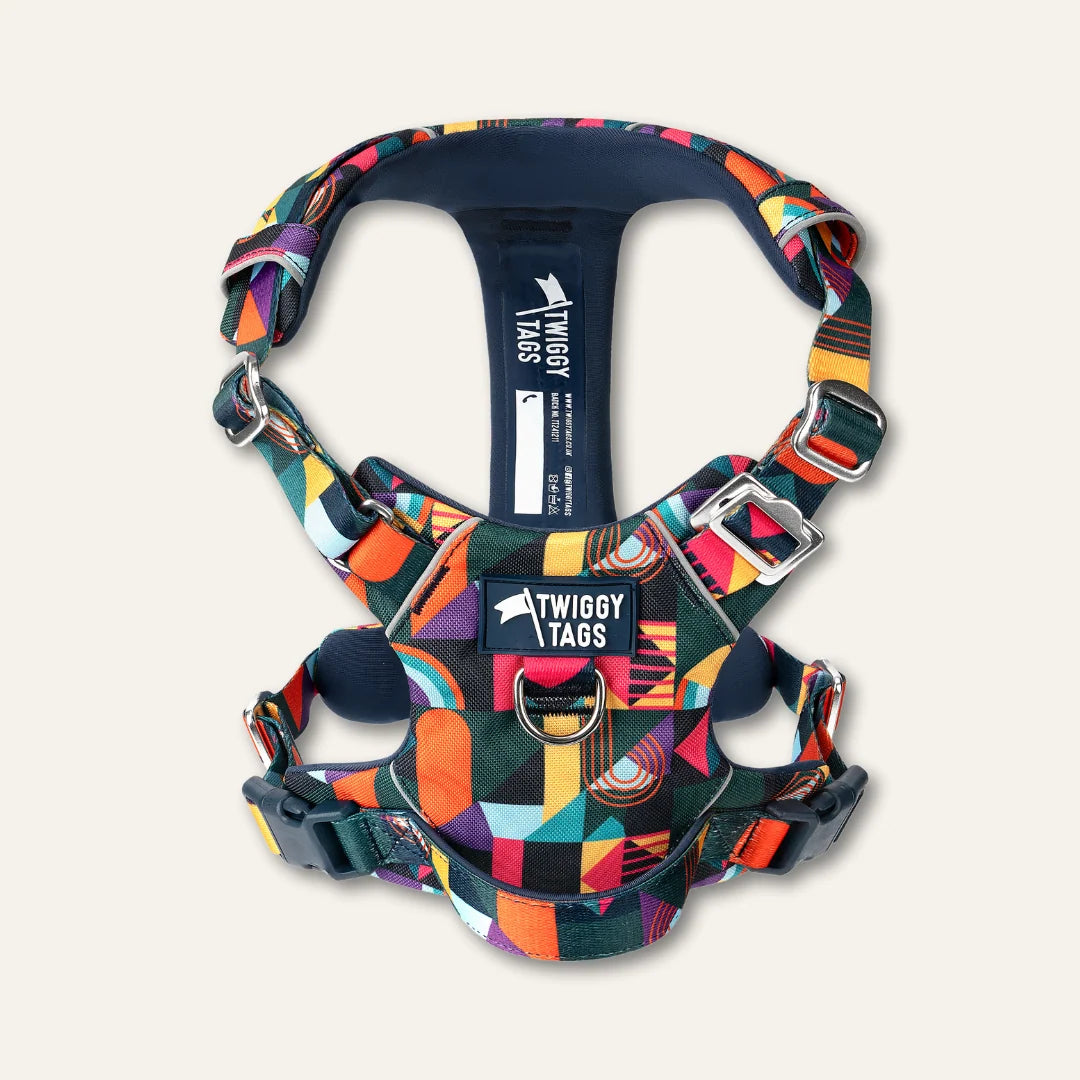 Twiggy Tags Adventure Dog Harness 2.0