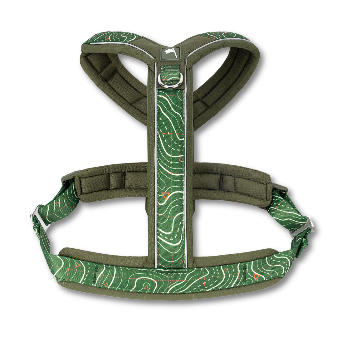 Green dog harness with a topographic pattern on a white background