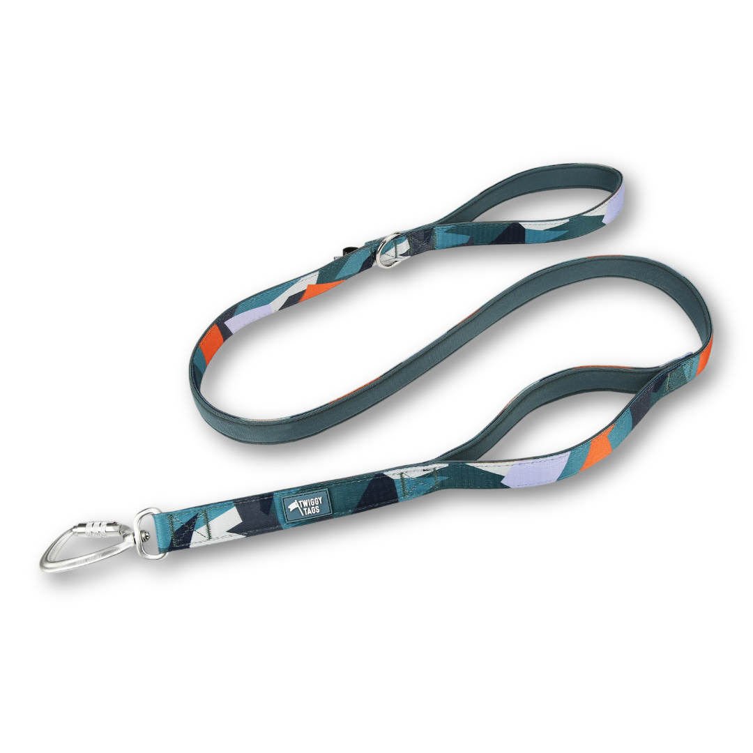 Twiggy Tags Close Control Dog Lead