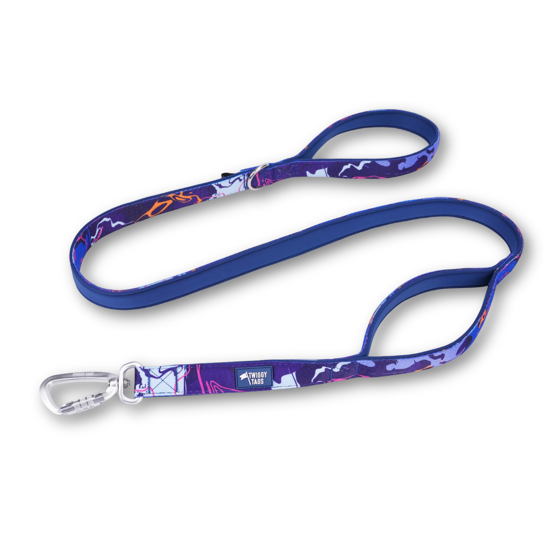 Twiggy Tags Close Control Dog Lead