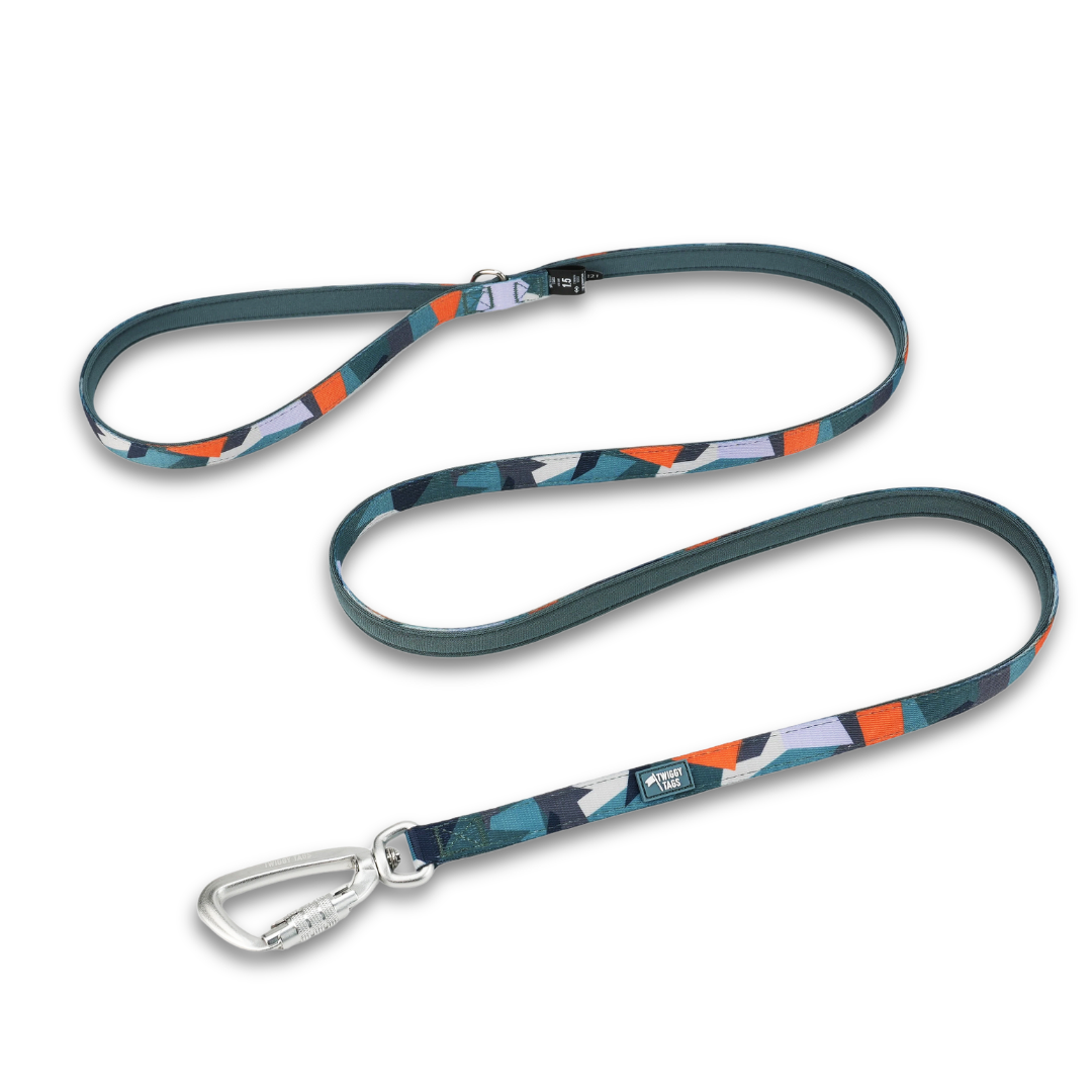 A dog leash with a dark teal-green base and an abstract geometric pattern in orange, light blue, and white. It features a silver metal carabiner clip on one end and a quick-release buckle on the other, displayed on a clean white background.