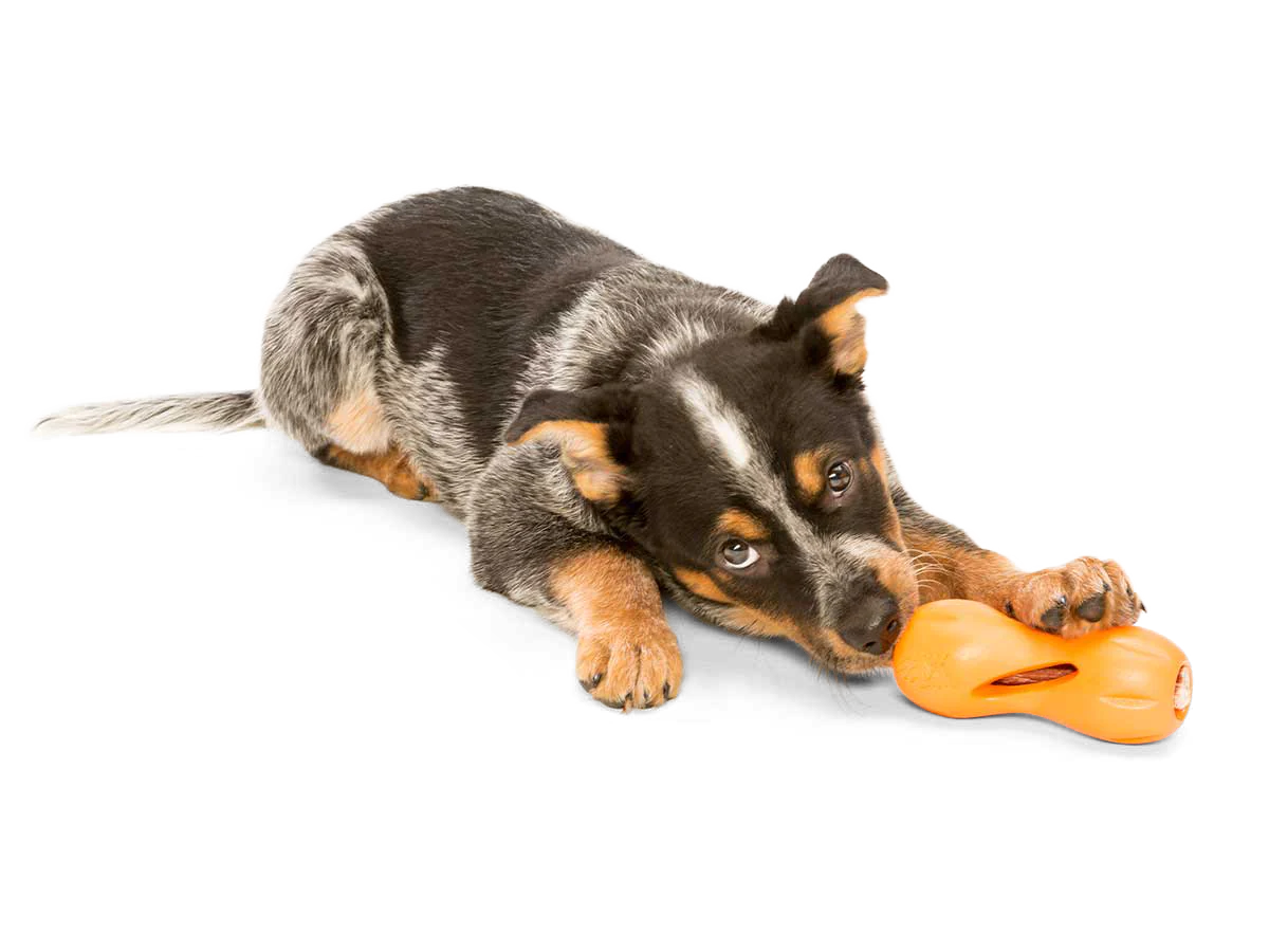 Westpaw Zogoflex Qwizl Dog Toy