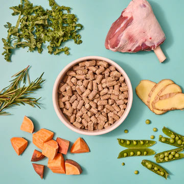 Wilsons Grass Fed Lamb Premium British Cold Pressed Dog Food