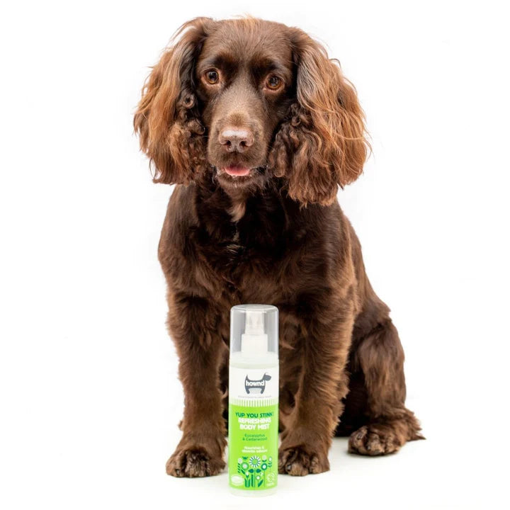 Hownd Yup You Stink Dog Body Mist Eucalyptus and Cedarwood