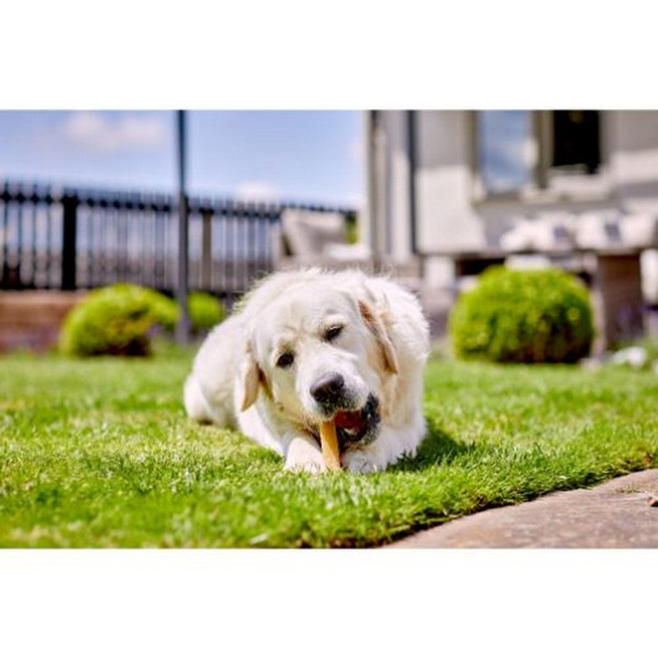 Yakers Apple Dog Chew Extra Large