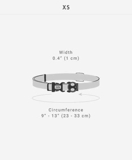 Zeedog Dog Collar Skull