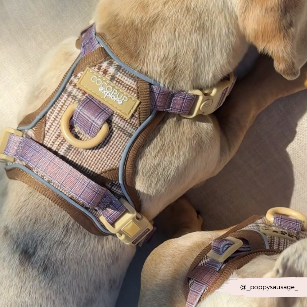 Cocopup Explore Dog Harness - Pup Plaid