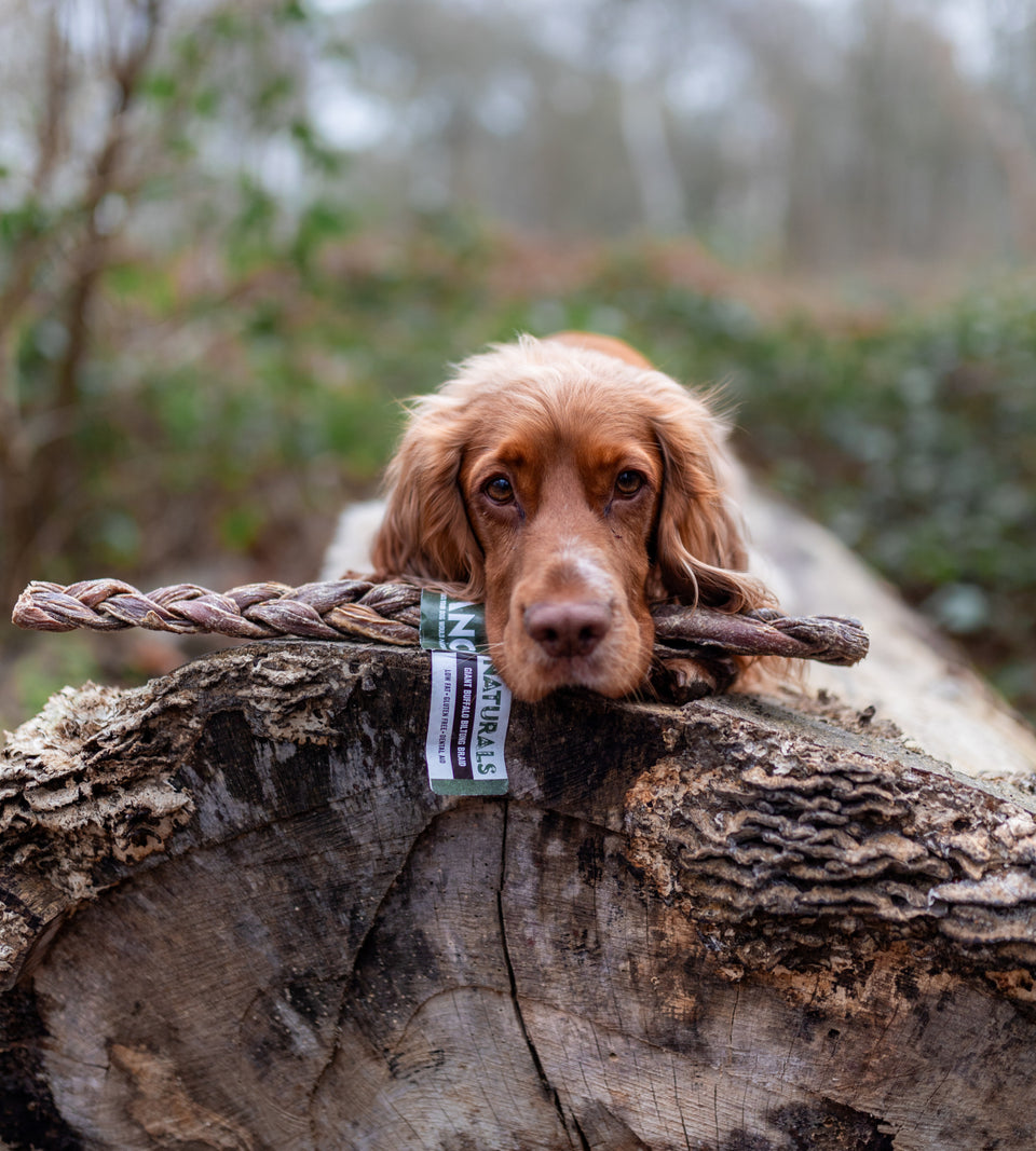 Anco Naturals Giant Buffalo Biltong Braid