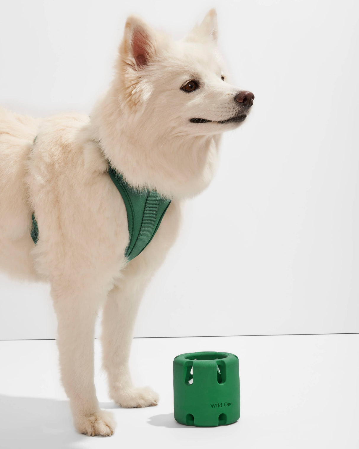 Wild One Tennis Tumble Interactive Dog Toy