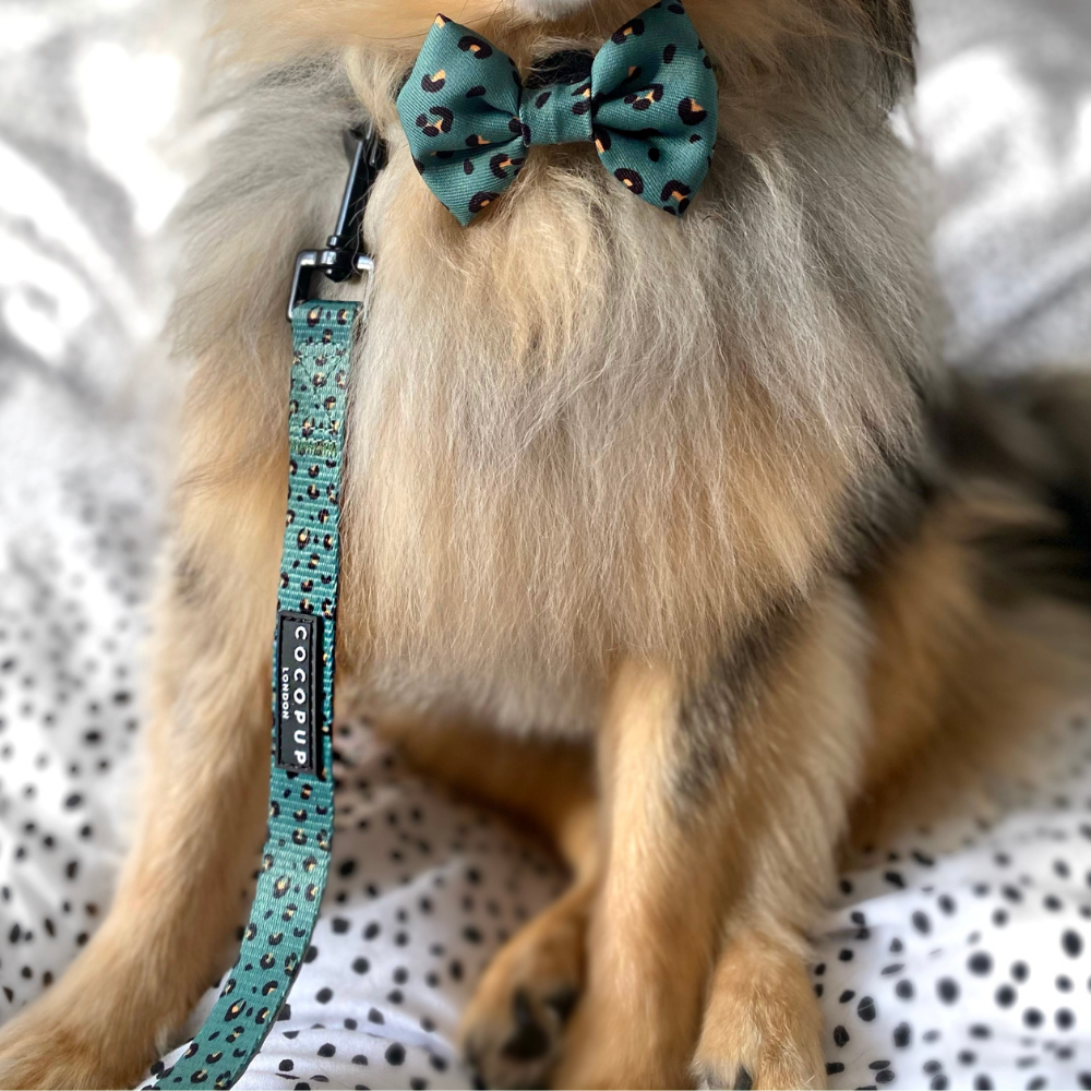 Cocopup Khaki Leopard Lead