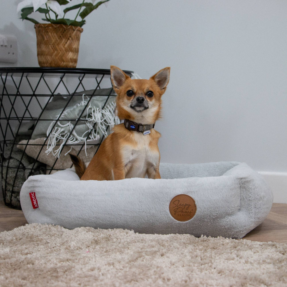 Sleepy Paws Classic Square Pet Bed Light Grey