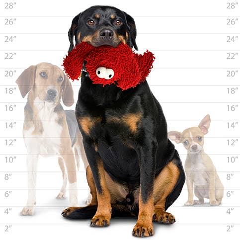 Mighty Microfiber Ball Med Lobster, Durable, Squeaky Dog Toy