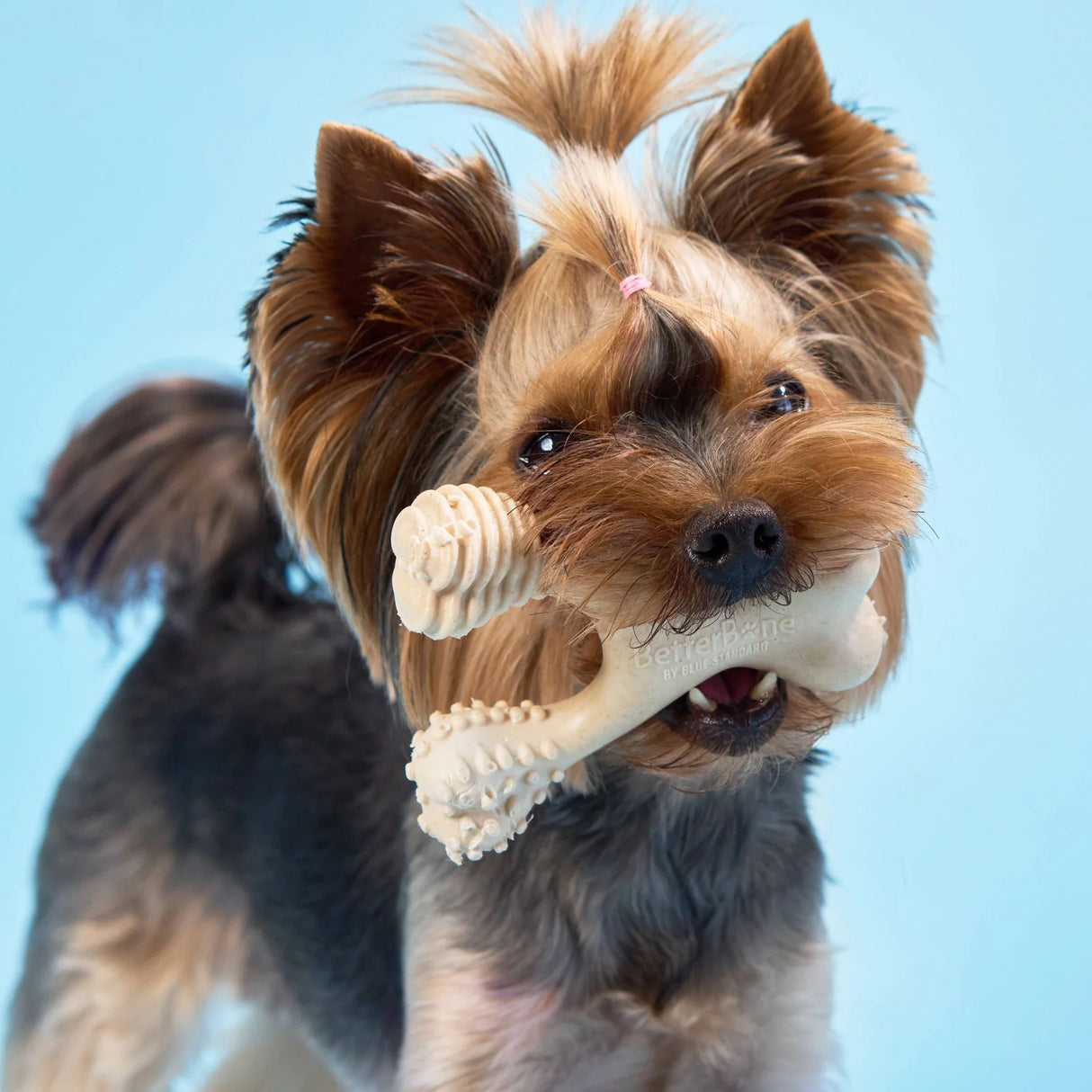 Betterbone Dog Chew Toy Classic Flavour/Hypoallergenic - Soft