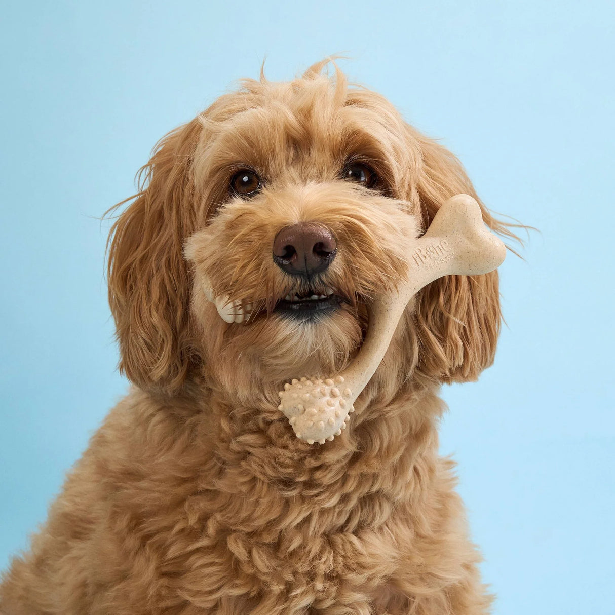 Betterbone Dog Chew Toy Classic Flavour/Hypoallergenic - Soft