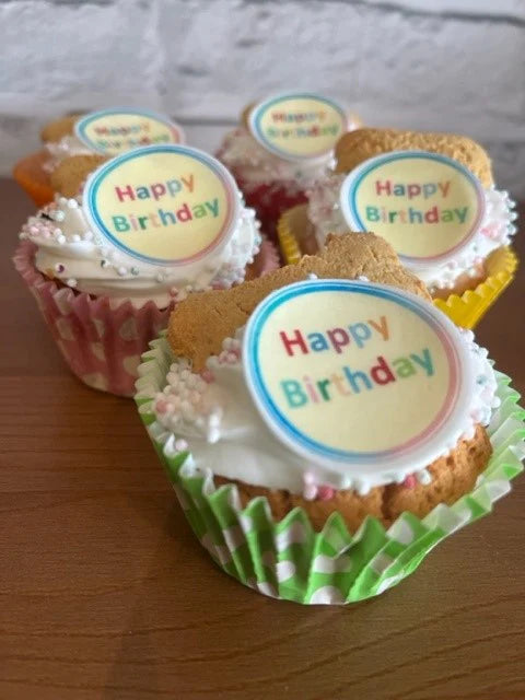 Life Of Riley Dog Birthday Cupcake