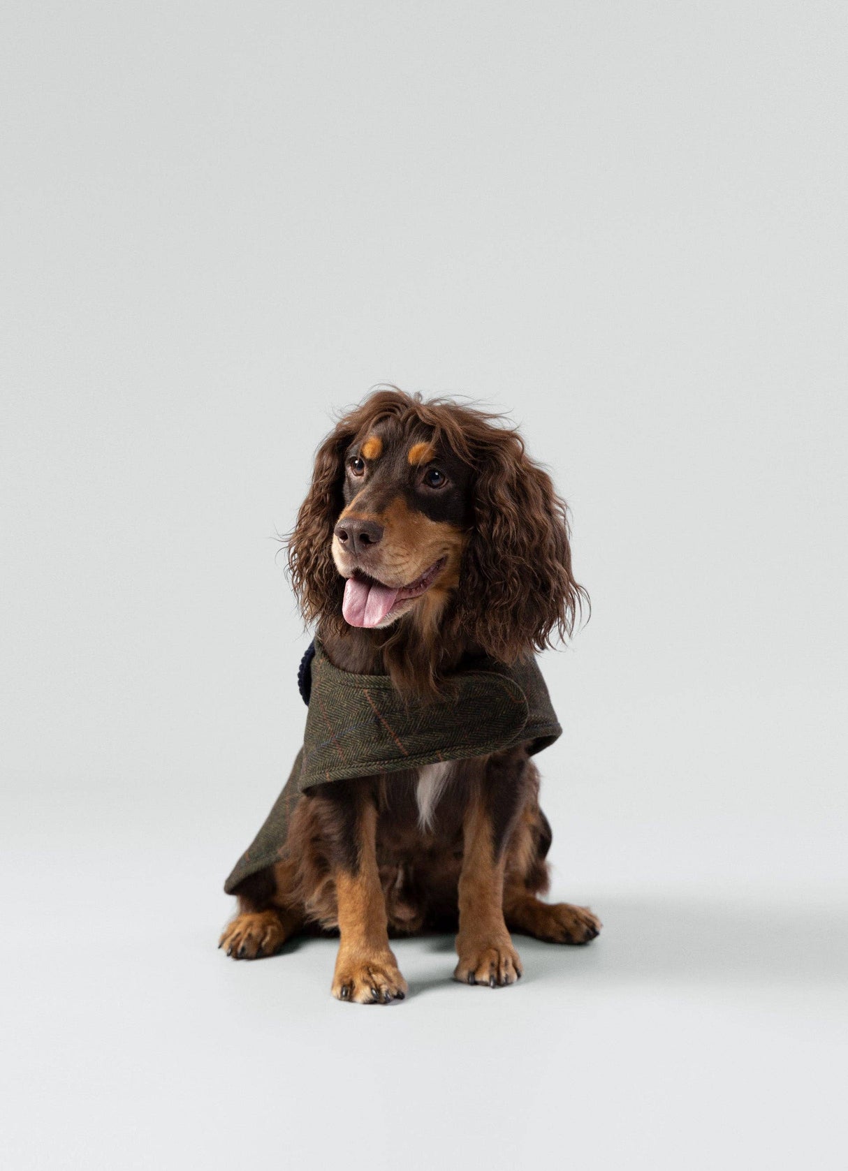 Hackett x Hugo Hudson Dark Green Checked Tweed Dog Jacket