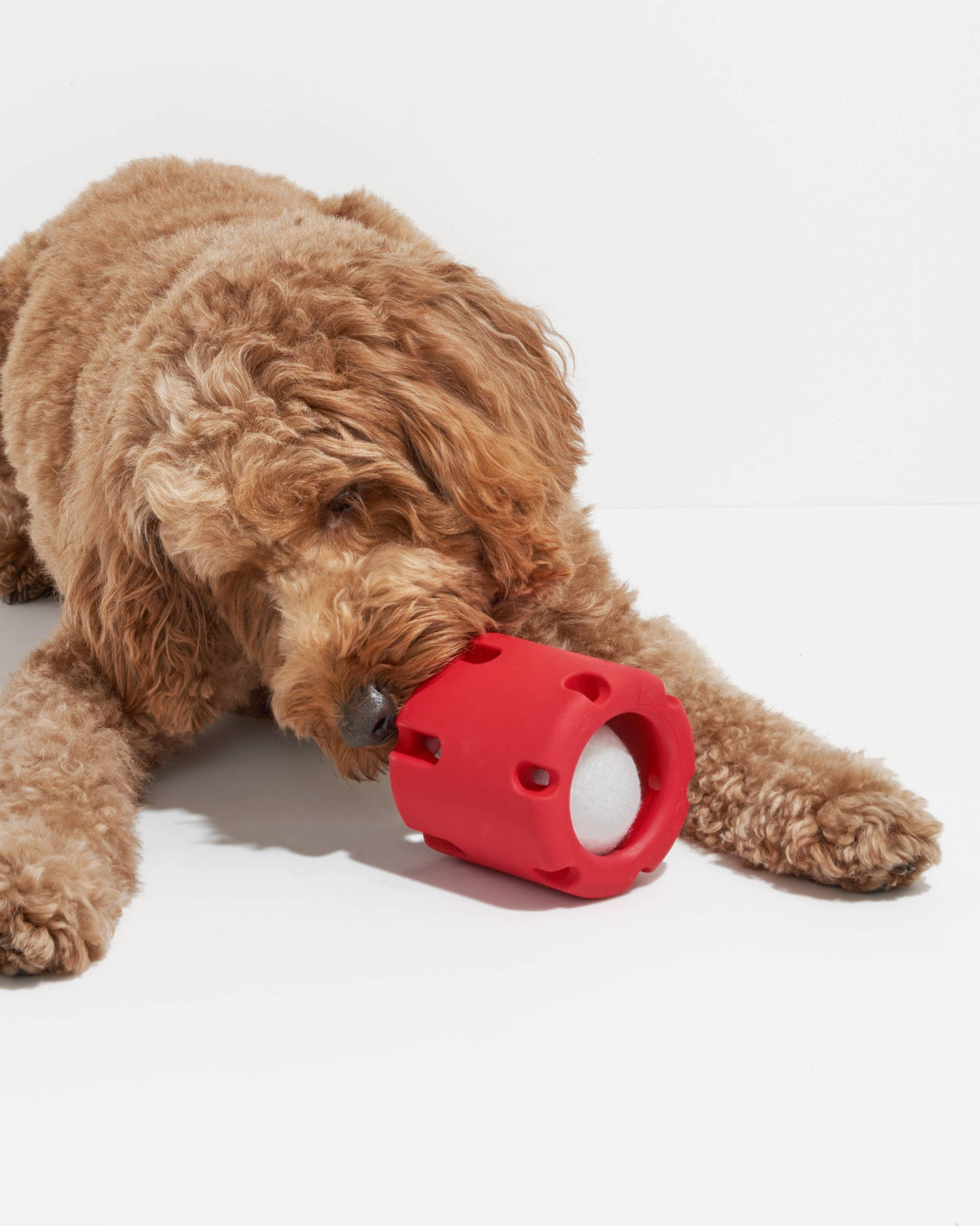Wild One Tennis Tumble Interactive Dog Toy