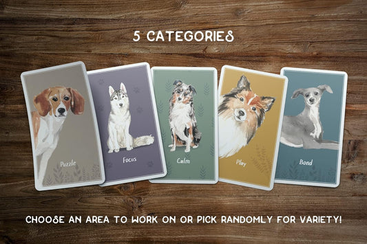 Calm Dog Games Cards