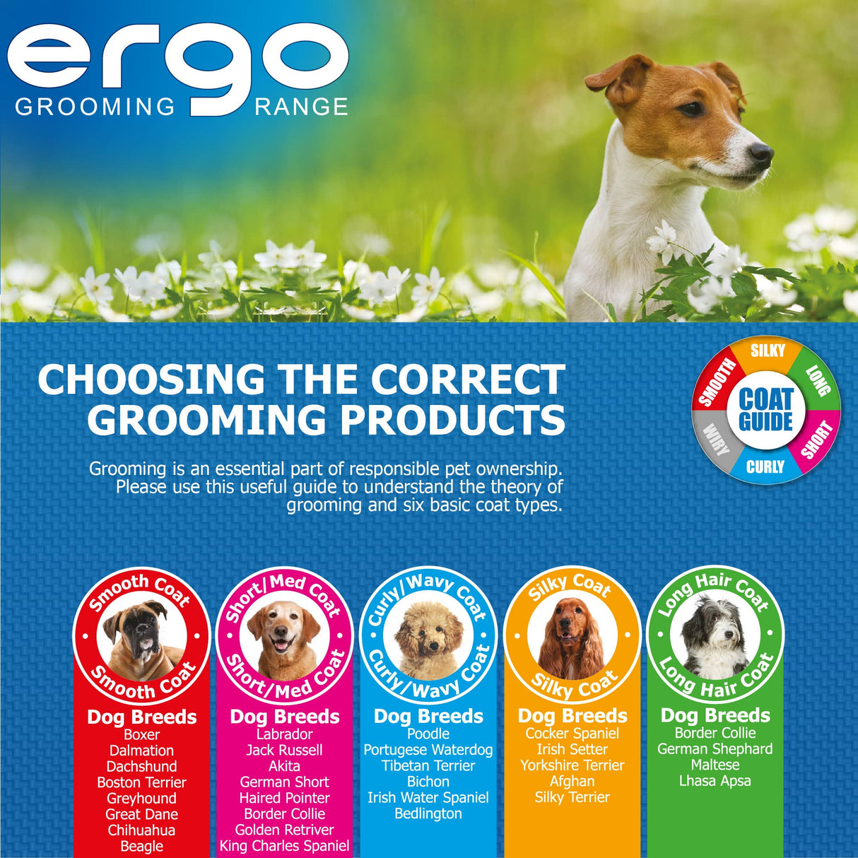 Ancol Ergo Hedgehog Slicker Dog Brush Large