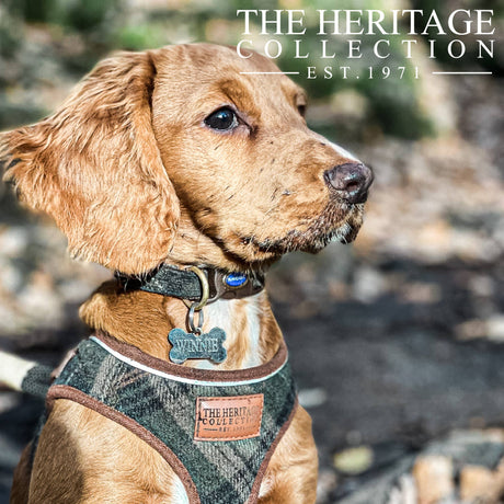 Heritage Collection Country Check Collar