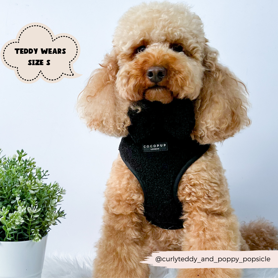 Cocopup Teddy Adjustable Dog Harness