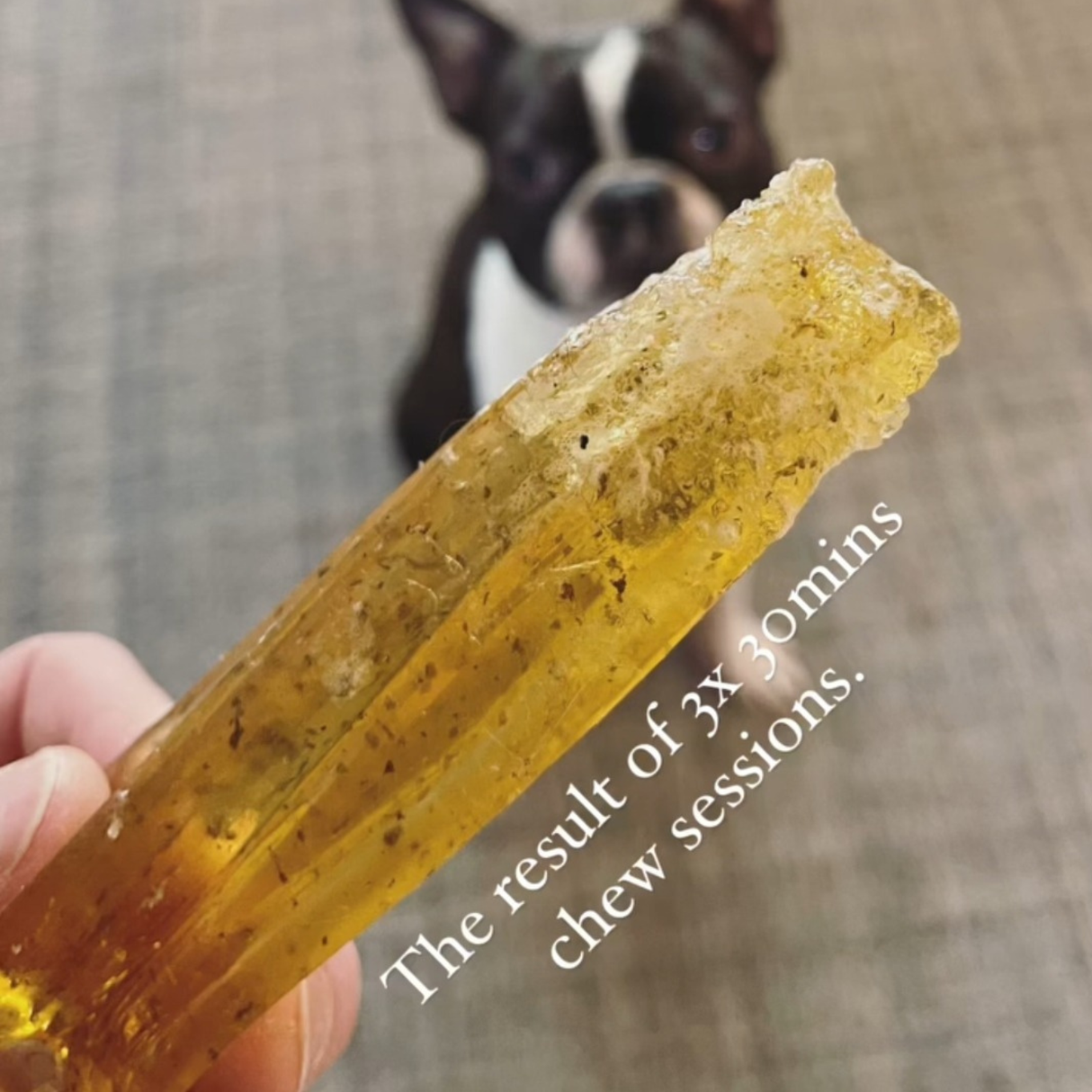 Mighty Marrows Collagen Dental Chew - Beef Liver Large