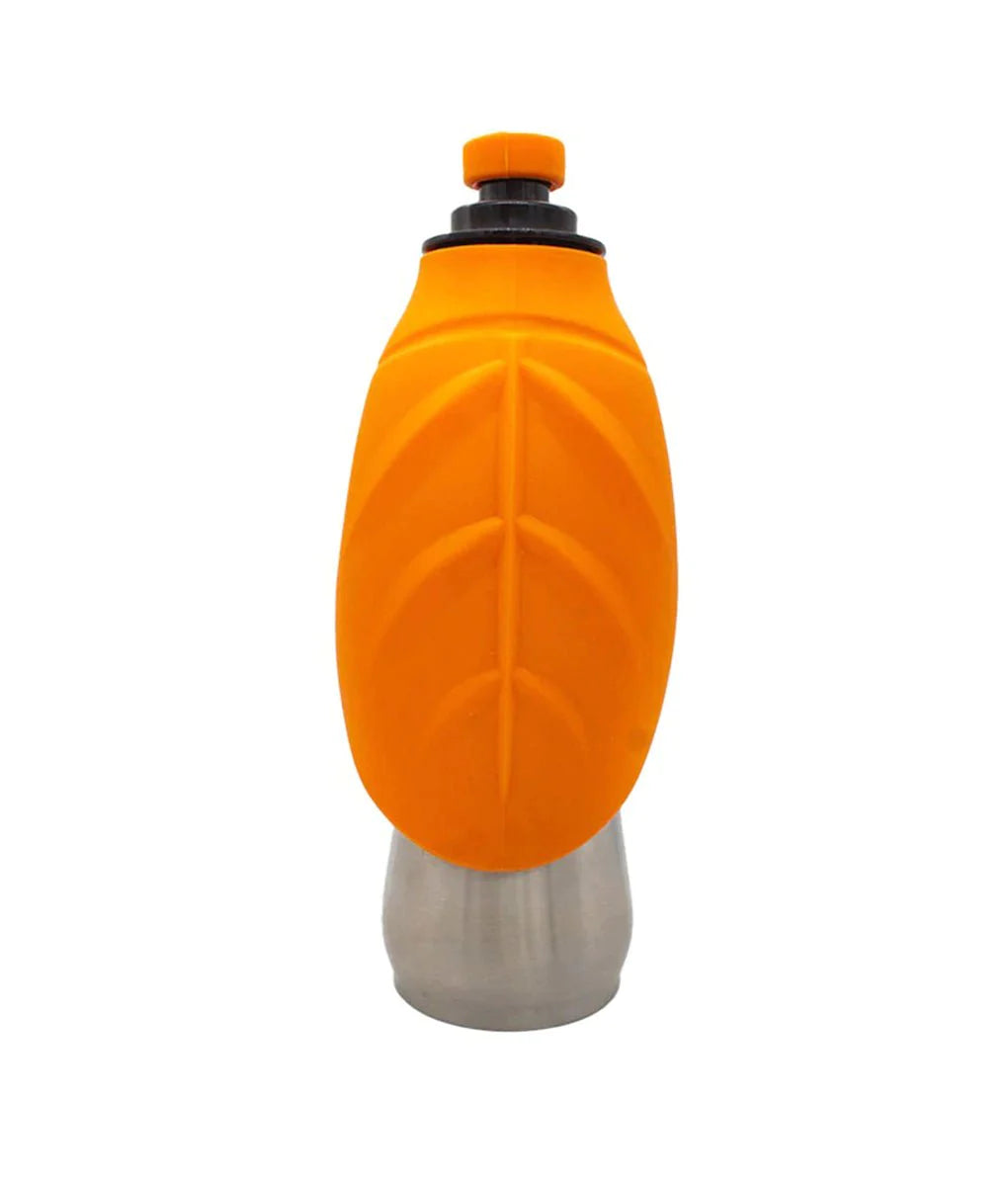 Ecovibe Water Bottle