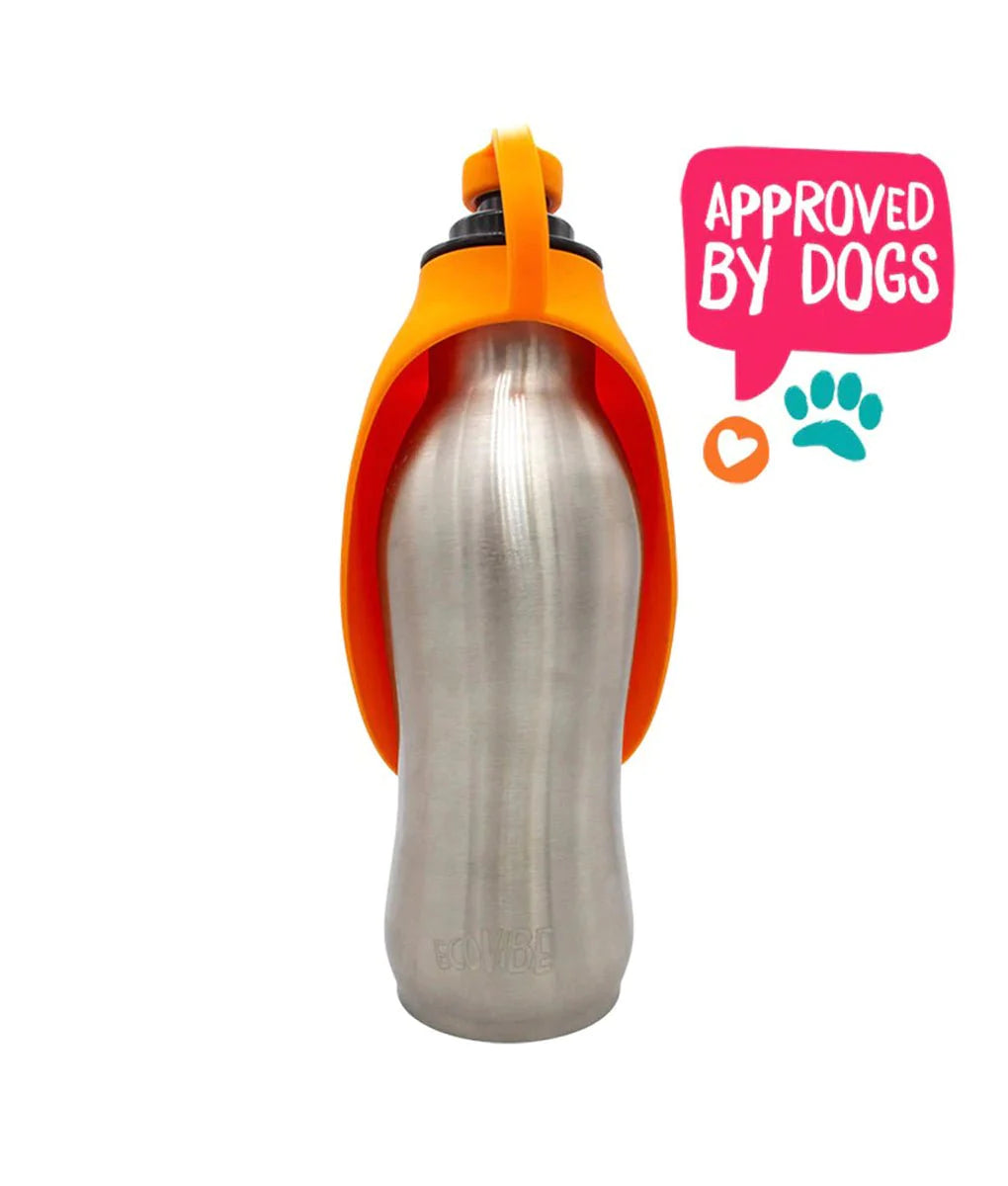 Ecovibe Water Bottle