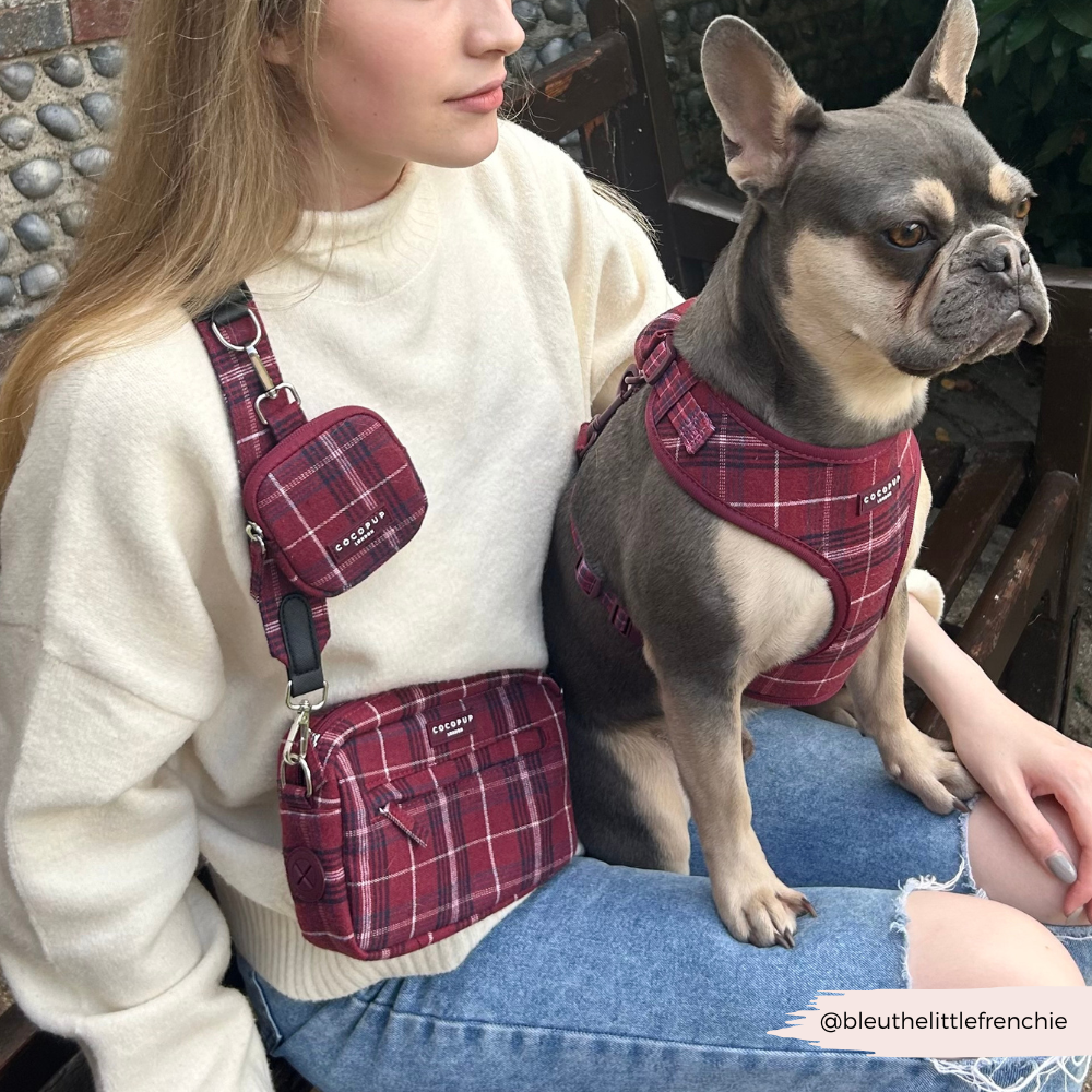 Cocopup Mulberry Plaid Adjustable Neck Harness