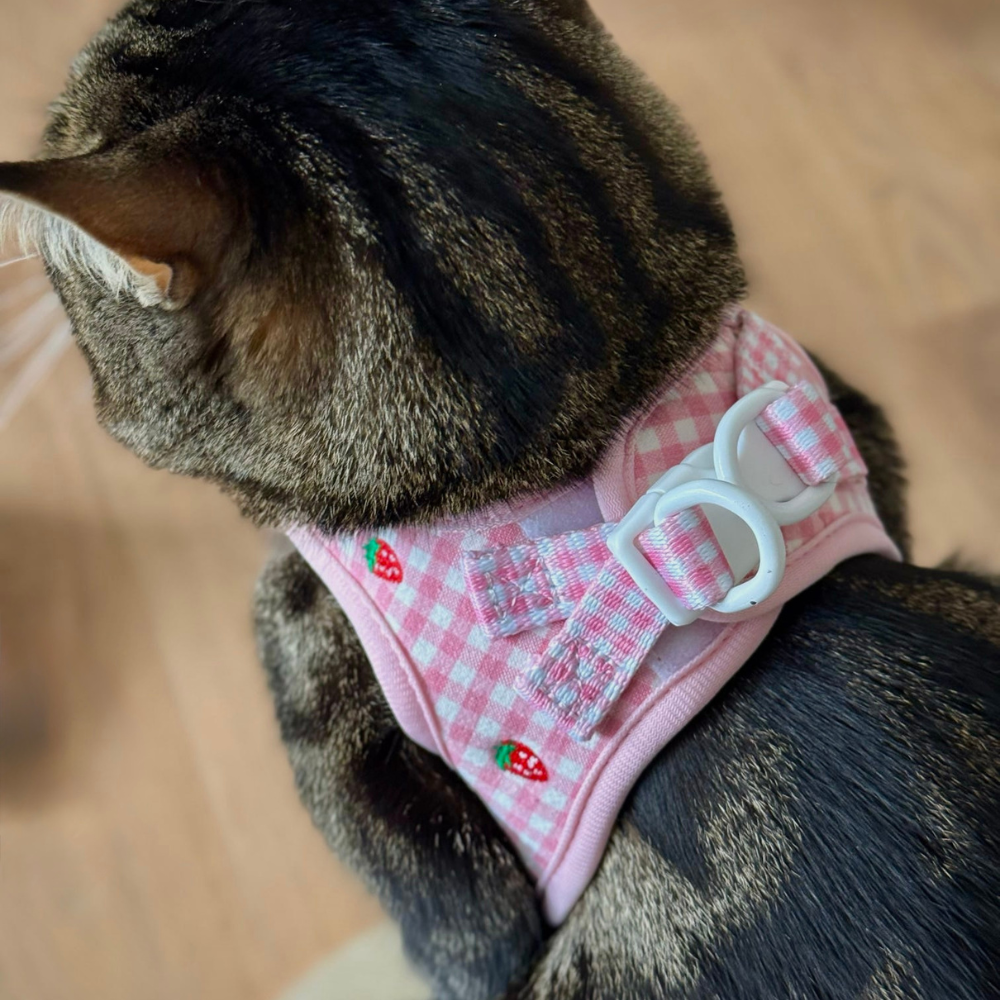 Cocopup Cat Harness - Strawberry Picnic
