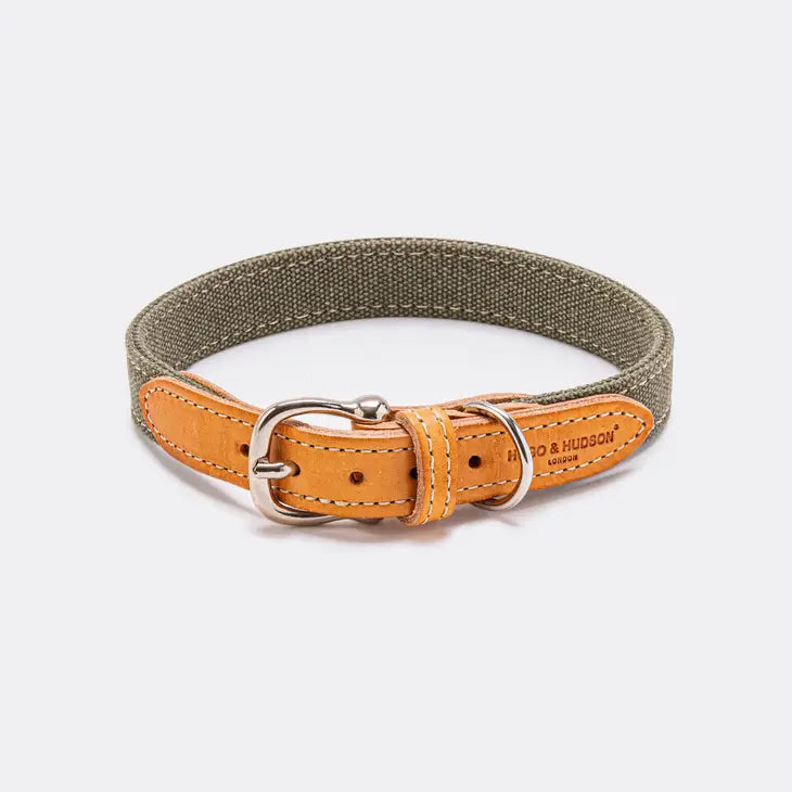 Hugo&Hudson Green Denim Collar