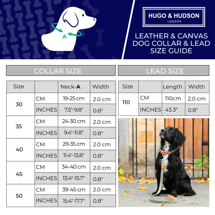 Hugo&Hudson Green Denim Collar