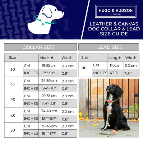 Hugo&Hudson Green Denim Collar