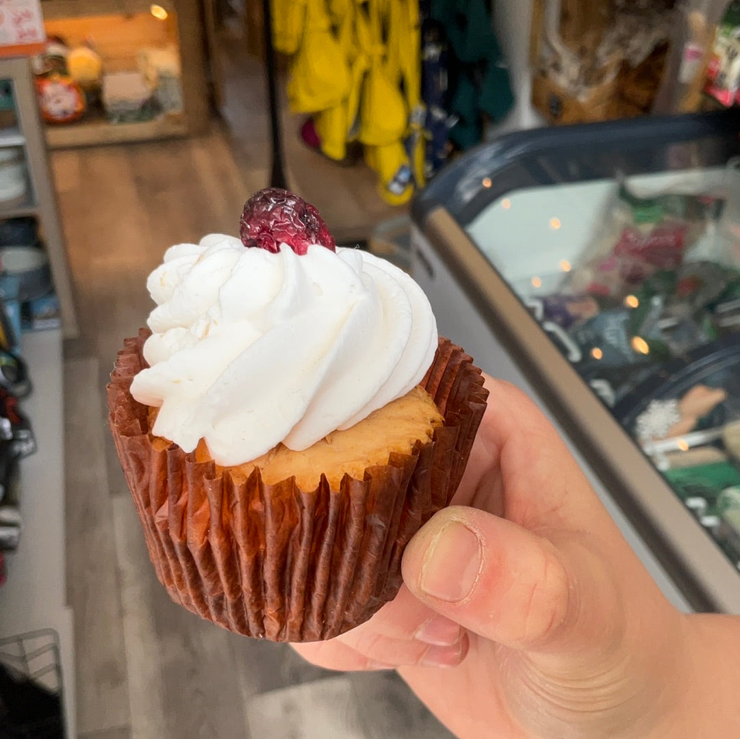 Life Of Riley Dog Bakery Luxury Pupcake