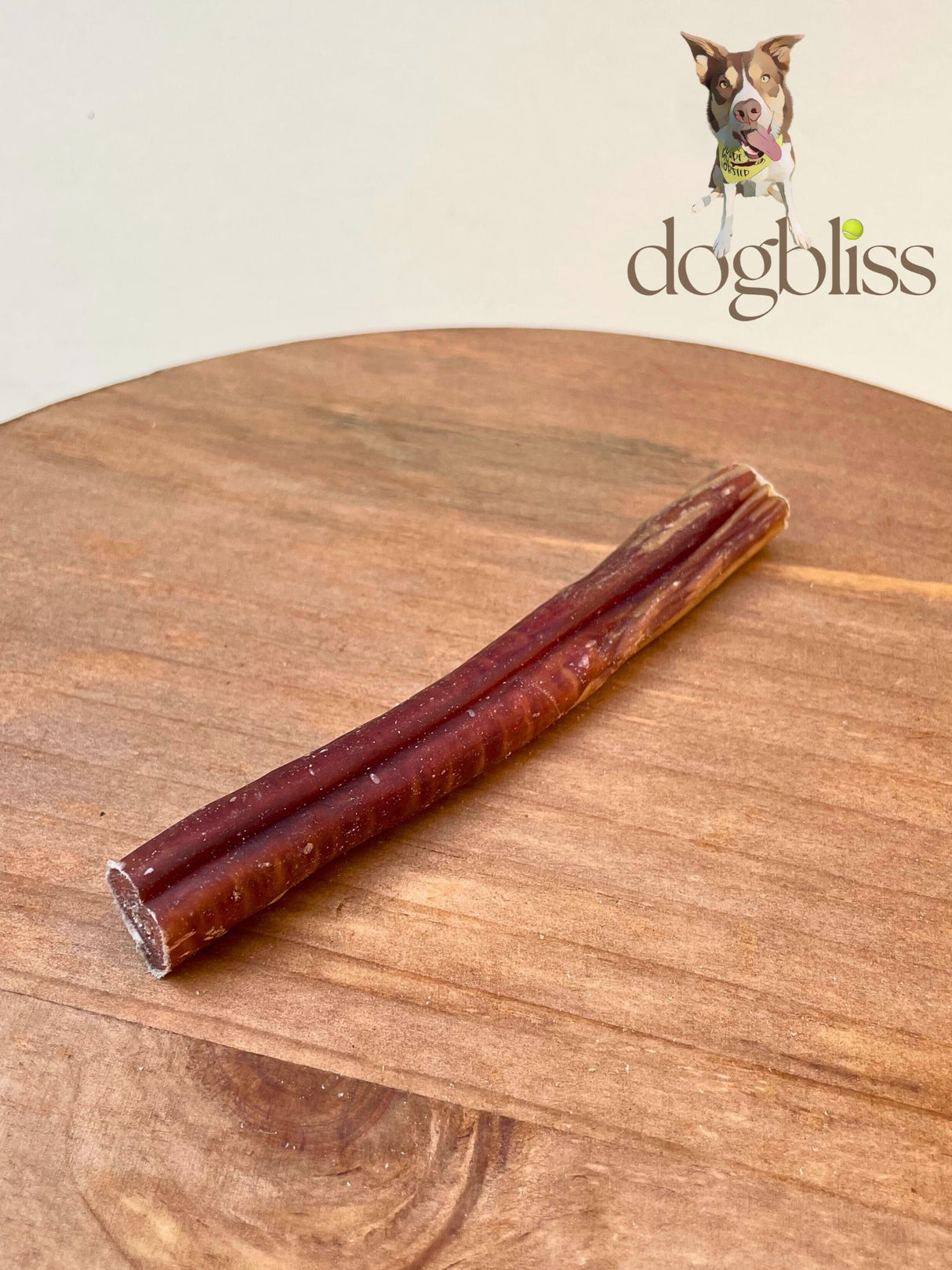 JR Pet Pizzle Dog Chew