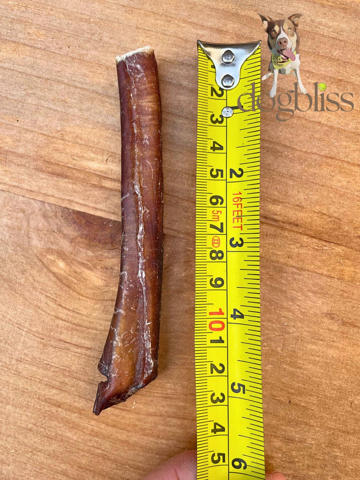 JR Pet Pizzle Dog Chew