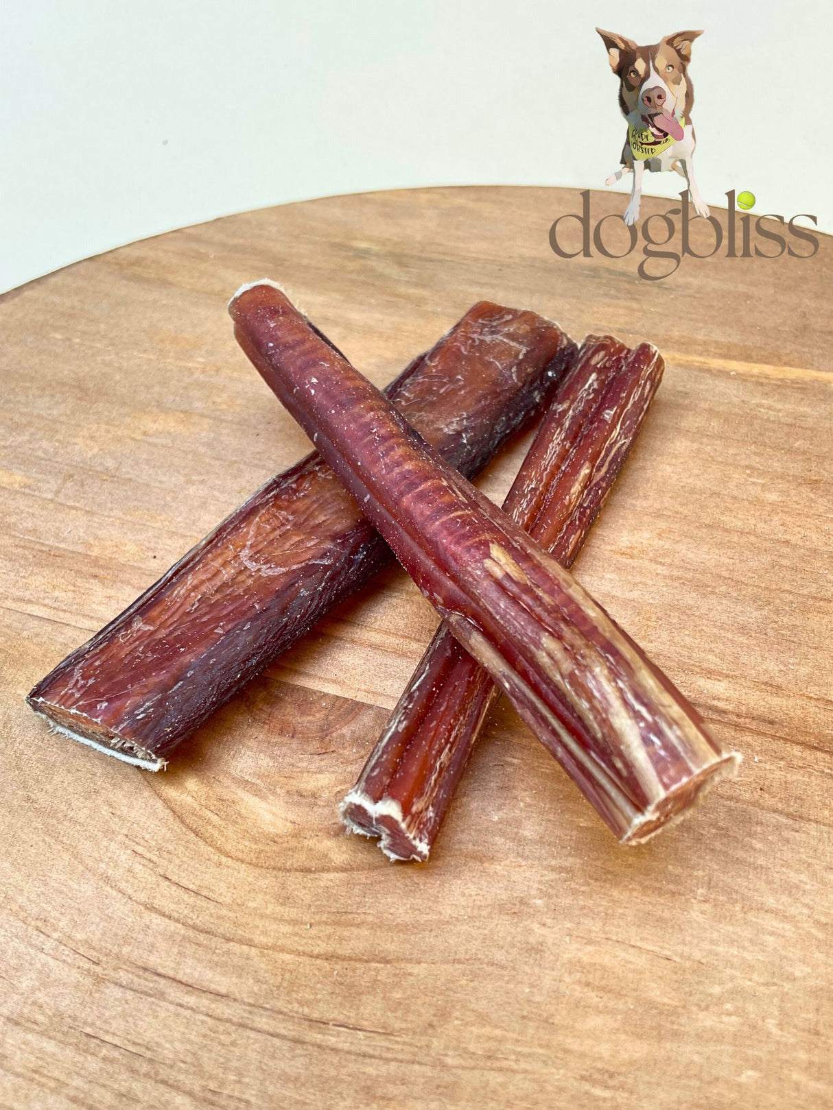 JR Pet Pizzle Dog Chew