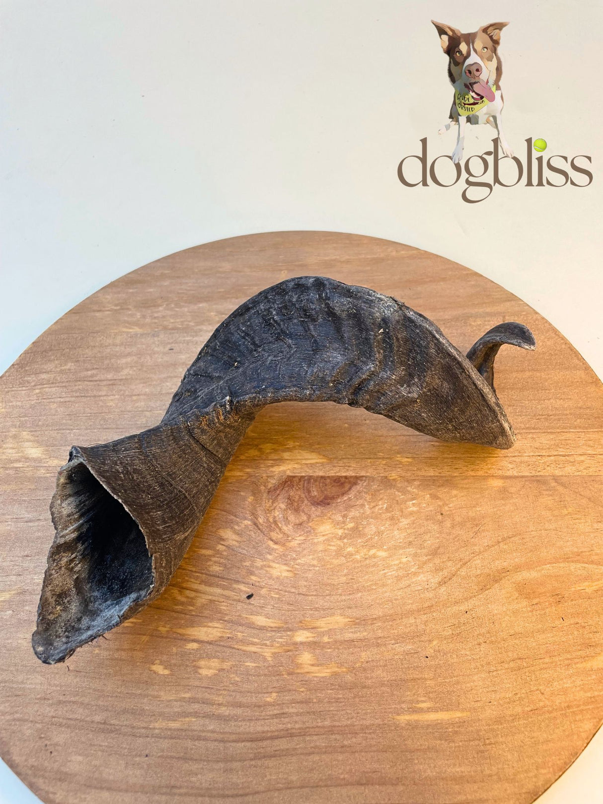 Anco Lamb Horn - Price Per 1 Piece