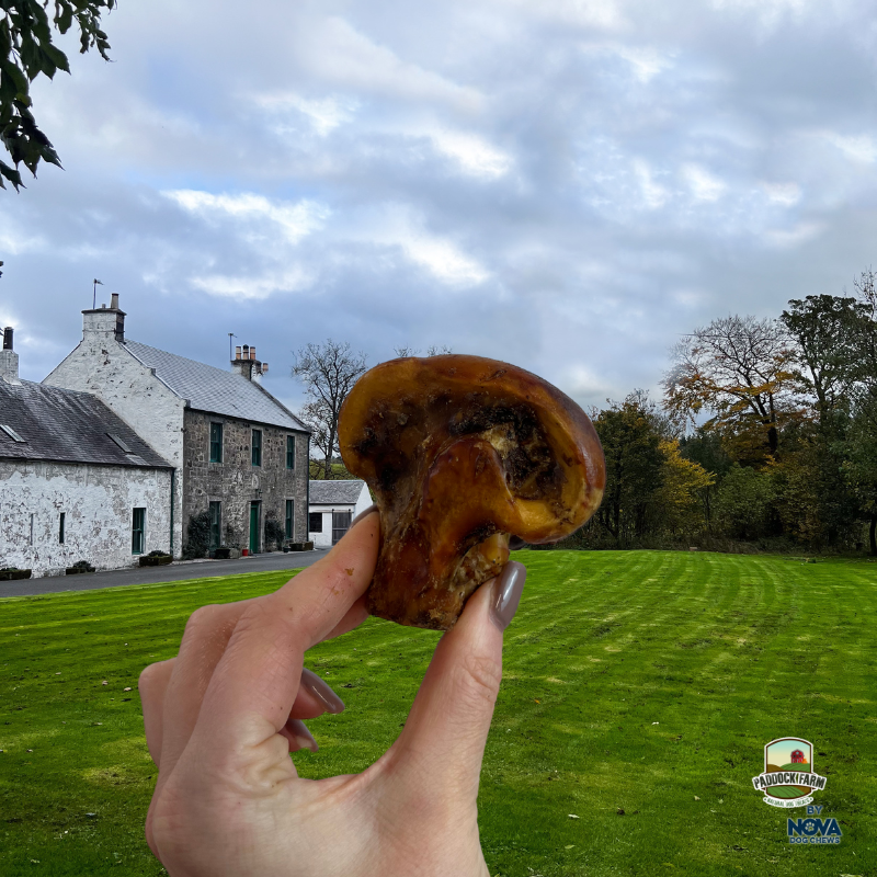 Deli Ostrich Knuckles Small - Price Per 1 Piece