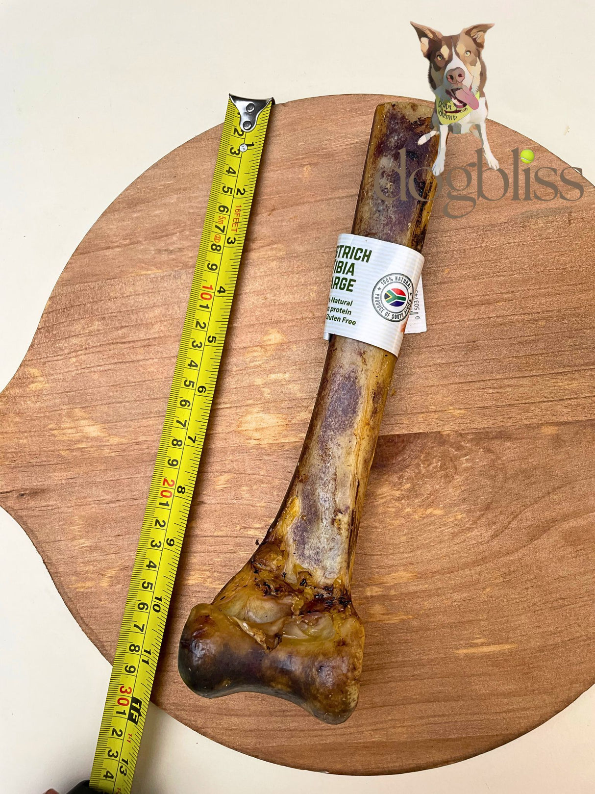 Ostrich Metatarsus Bone - Price Per 1 Piece