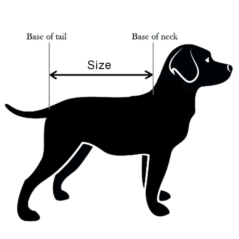 Animate Outhwaite Navy Blue Padded Coat