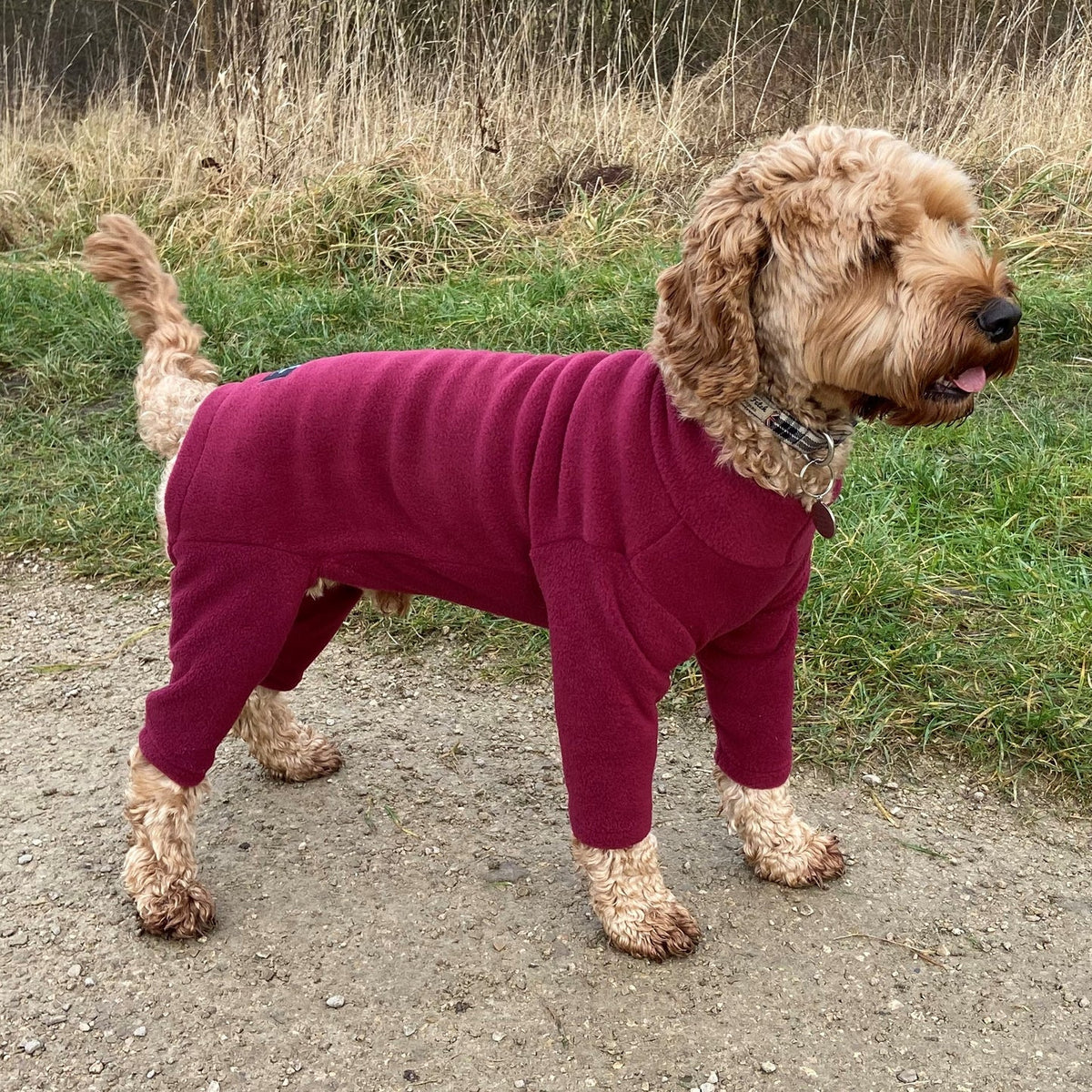 Pawsome Dog Polar Fleece Suit 4 Legs