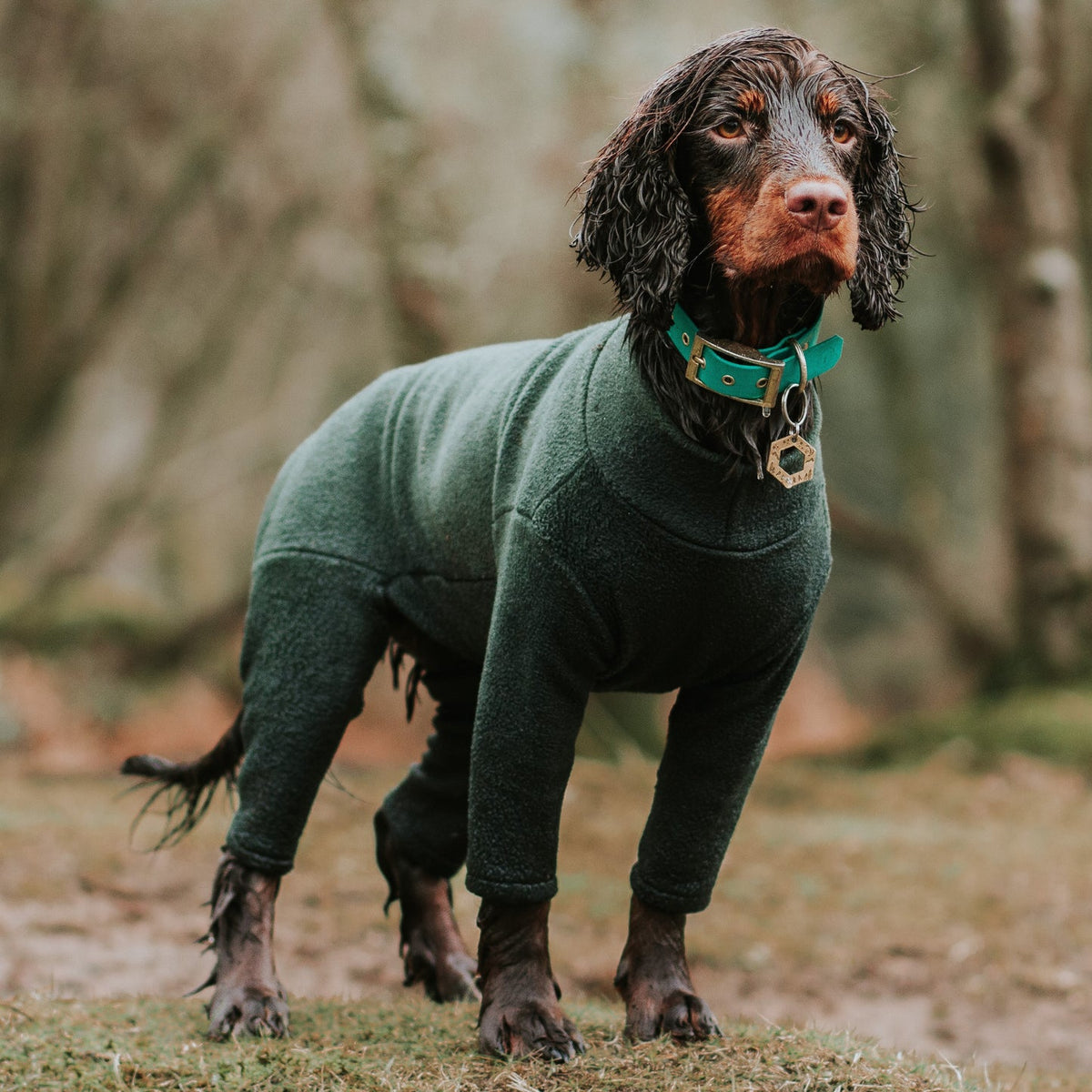 Pawsome Dog Polar Fleece Suit 4 Legs